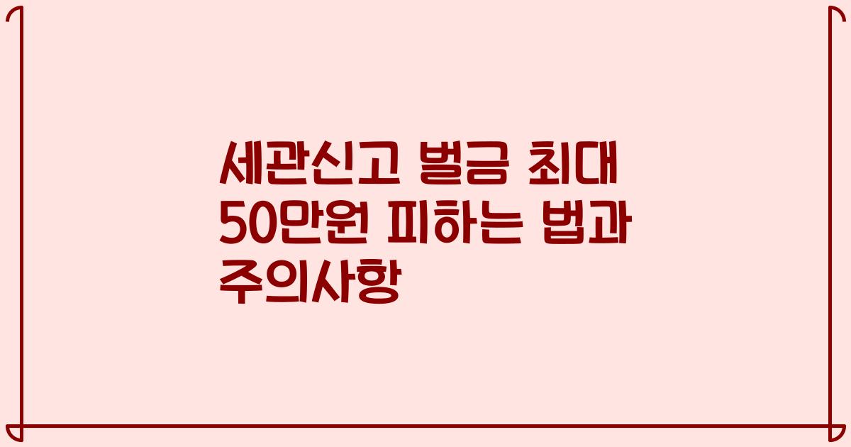세관신고 벌금 최대 50만원 피하는 법과 주의사항